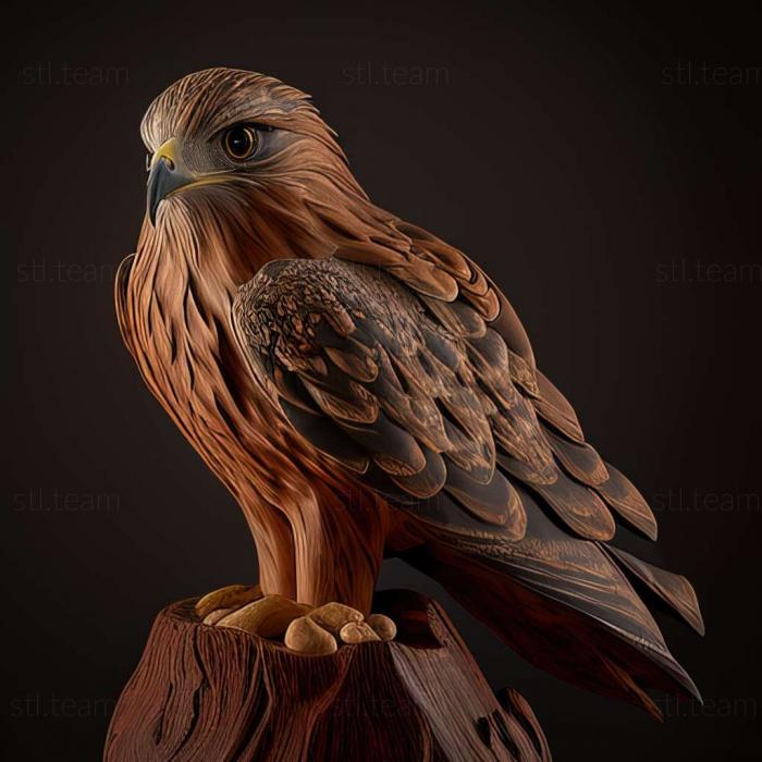 3D модель Buteo japonicus (STL)